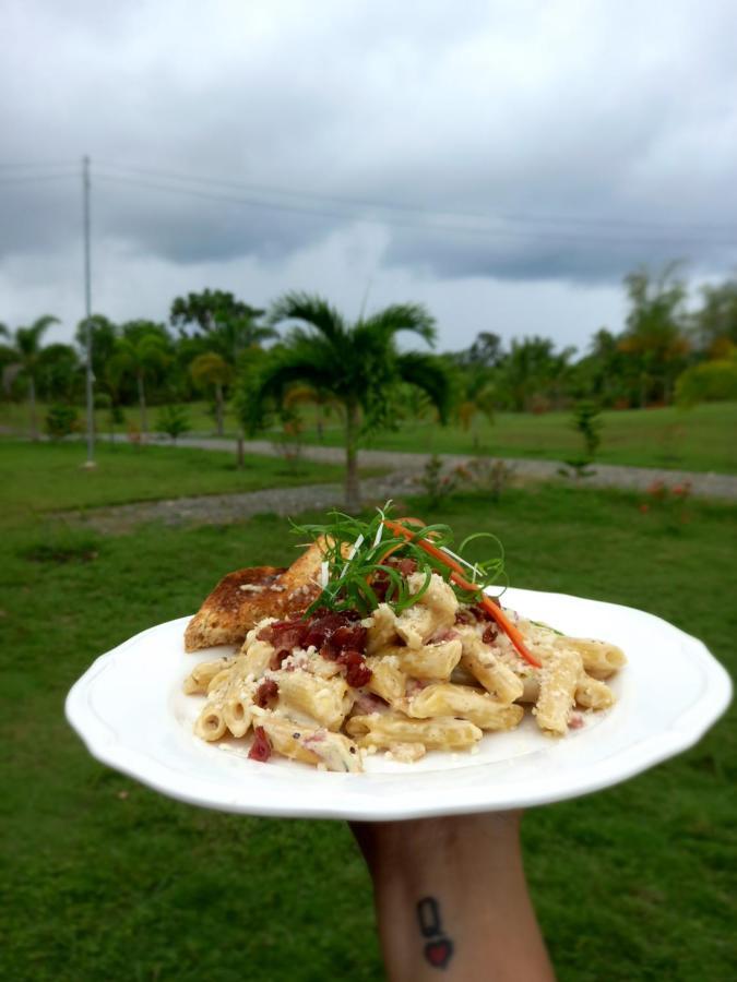 Green Acres Village Moalboal Buitenkant foto