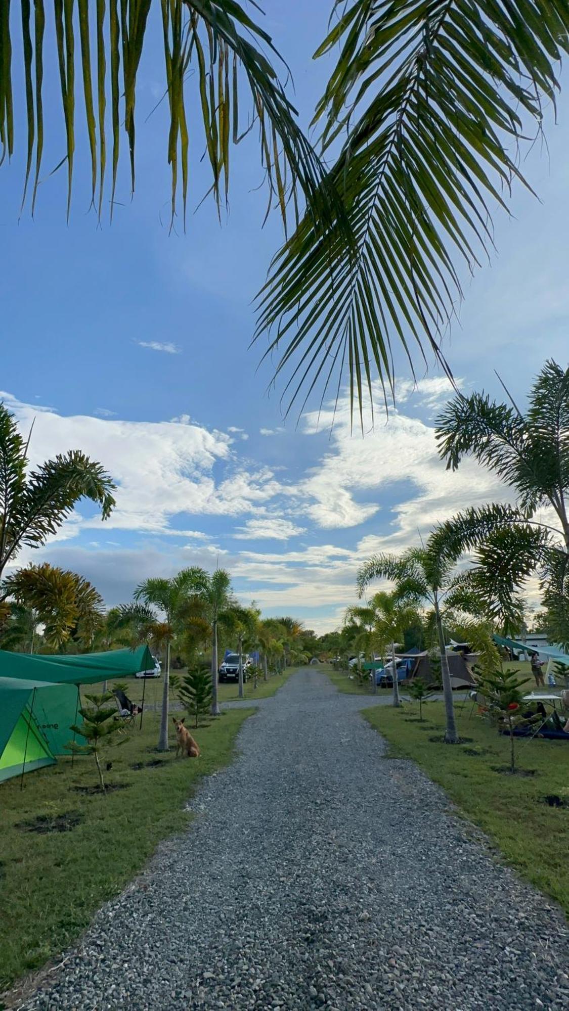 Green Acres Village Moalboal Buitenkant foto